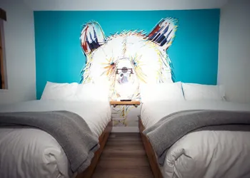 Crash Hotel Squamish hotel thumbnail 5