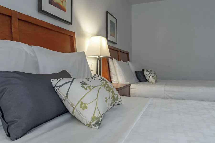 Hotel Le Victorin, Ascend Hotel Collection hotel detail image 6