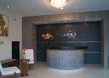 Hotel Casa Palomino hotel thumbnail 5