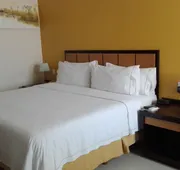 Holiday Inn Express Paraiso Dos Bocas by IHG hotel detail image 3