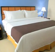Holiday Inn Express Paraiso Dos Bocas by IHG hotel detail image 4