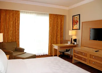 Holiday Inn La Piedad by IHG hotel thumbnail 3