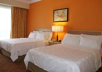Holiday Inn La Piedad by IHG hotel thumbnail 5