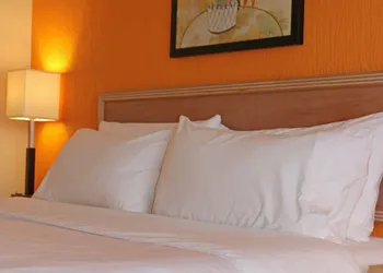 Holiday Inn La Piedad by IHG hotel thumbnail 6