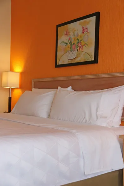 Holiday Inn La Piedad by IHG hotel detail image 6