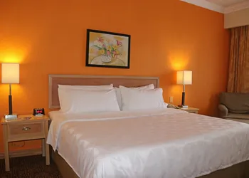 Holiday Inn La Piedad by IHG hotel thumbnail 7