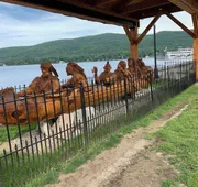 The Lake George Inn hotel detail image 7