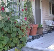 Hollyhock Country House hotel detail image 5