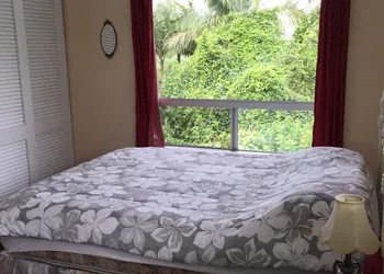 Lava Tree Tropic Inn hotel thumbnail 8
