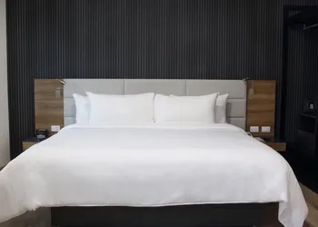 SJ Grand Hotel Monterrey hotel thumbnail 7