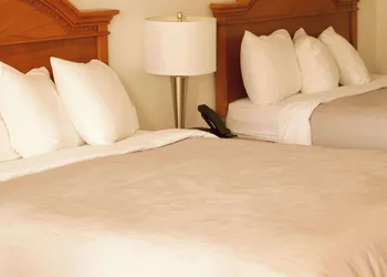Quality Inn near Chattanooga South hotel thumbnail 4