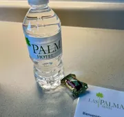 Hotel las Palmas hotel detail image 7