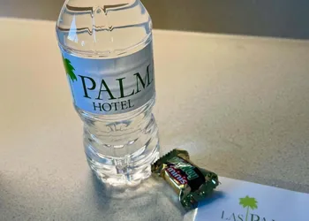 Hotel las Palmas hotel thumbnail 7