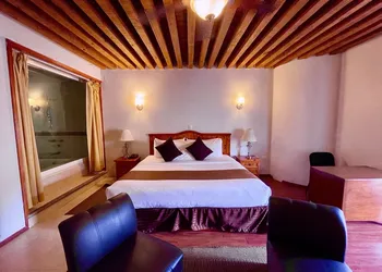 Hotel Puebla Plaza hotel thumbnail 8
