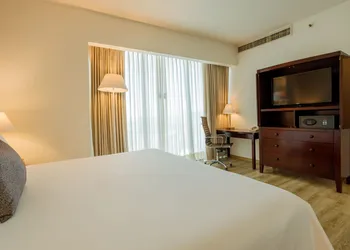 Camino Real Pachuca hotel thumbnail 7