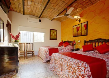 Hotel Posada de Roger - Near Los Muertos Beach hotel thumbnail 8