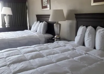 Ocean Waves Hotel hotel thumbnail 3