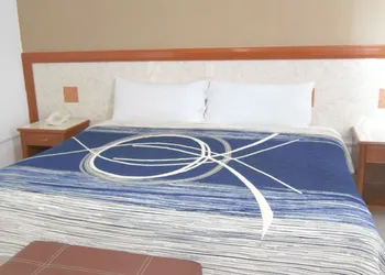 Hotel Niza Palace hotel thumbnail 4