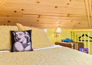 Tiny Digs - Hotel of Tiny Houses hotel thumbnail 7