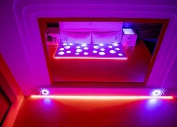 Hotel Muy Cdmx - Hotel Romantico hotel thumbnail 5