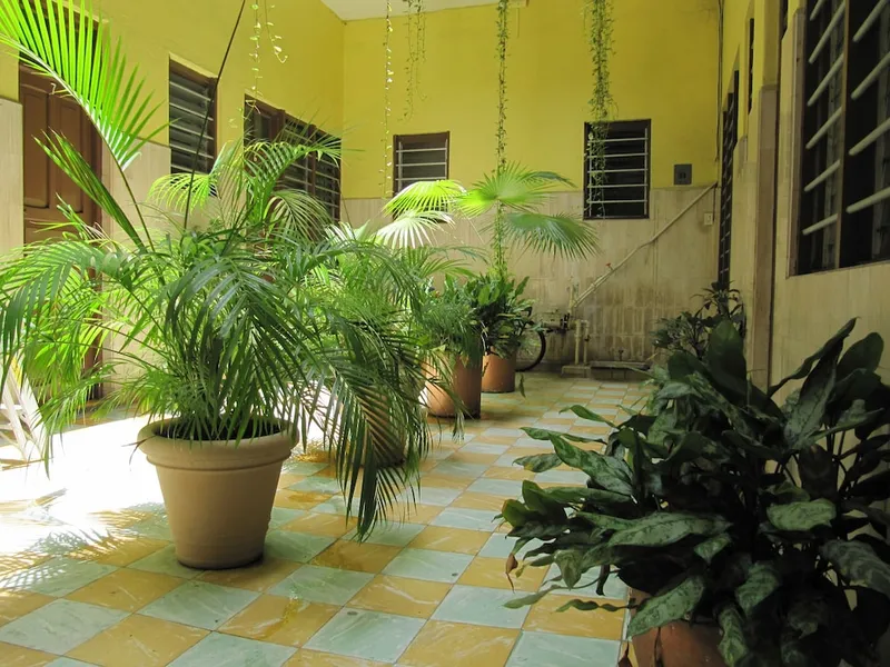 Hotel Amparo hotel detail image 2