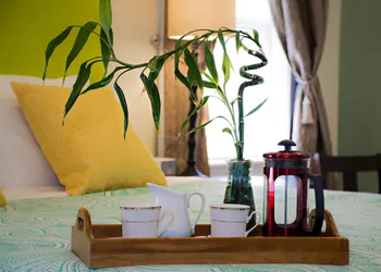 Malolo Bed and Breakfast hotel thumbnail 7