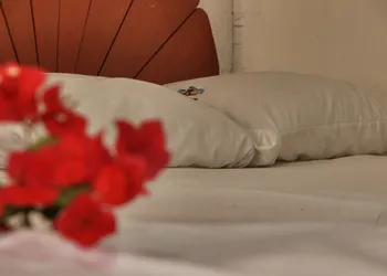 Hotel y Bungalows Acuario hotel thumbnail 6
