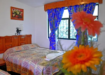 Hotel San Luis hotel thumbnail 8