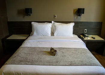 Hotel Brasilia hotel thumbnail 6
