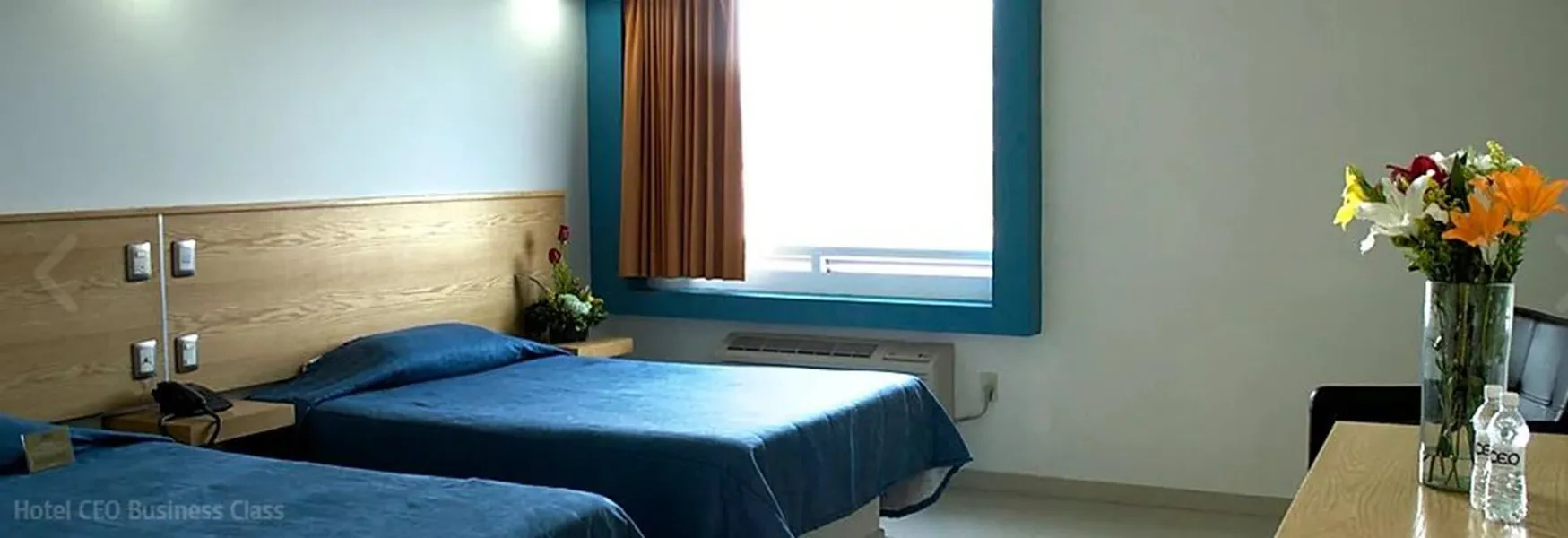 CEO Hotel Business Class hotel detail image 2