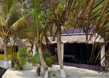 Hotel Maya Luna Adults Only hotel thumbnail 6
