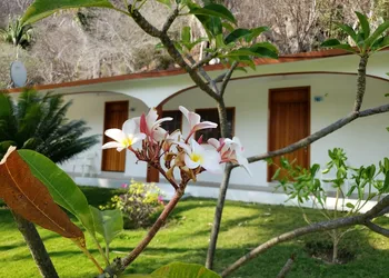 Hotel & Club Campestre Altos Paraiso hotel thumbnail 8