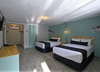 Mas Basico Hotel hotel thumbnail 4