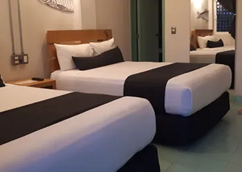 Mas Basico Hotel hotel thumbnail 8