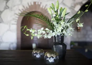 Maja Hotel Boutique hotel thumbnail 3