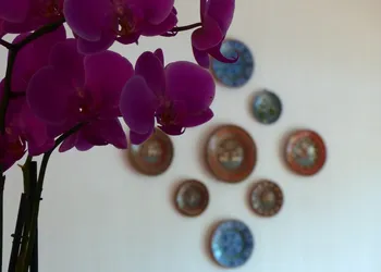Hotel Santo Santiago hotel thumbnail 5