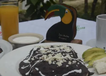 Ecolodge Las Nubes Chiapas hotel thumbnail 5