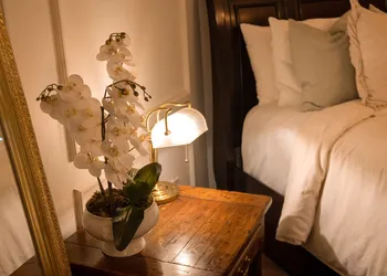 Mansion Papilio hotel thumbnail 4