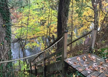 Goldberry Woods hotel thumbnail 4