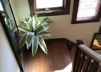 Gardenview Bed and Breakfast hotel thumbnail 2