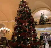 Arlington Resort Hotel and Spa hotel detail image 5