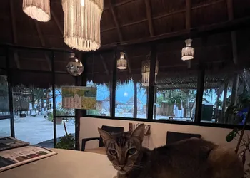 La Diosa Kali Beach Front Hotel hotel thumbnail 3