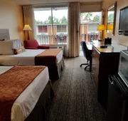 Sun Inn & Suites hotel detail image 4