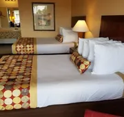 Sun Inn & Suites hotel detail image 7