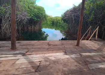 Selvatica Eco Hotel hotel thumbnail 7
