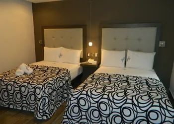 Hotel Flamingo hotel thumbnail 7