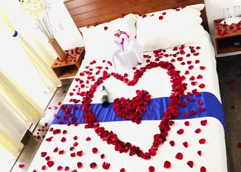 Hotel & Suites Cerro Rojo hotel thumbnail 6