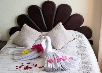 Hotel Barracuda Cozumel hotel thumbnail 4