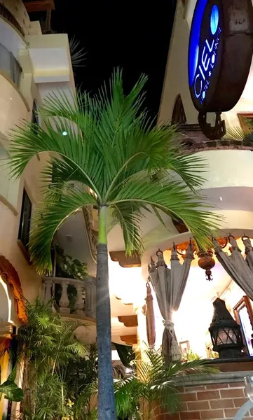 Hotel Cielo Playa del Carmen hotel detail image 2