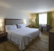 Holiday Inn Express & Suites Celaya by IHG hotel detail image 7